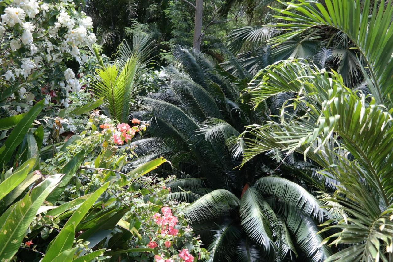 Muri Retreat Apartments Rarotonga Exterior photo