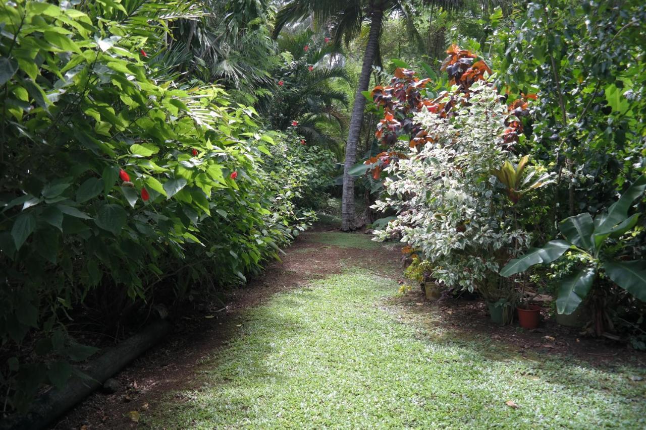 Muri Retreat Apartments Rarotonga Exterior photo